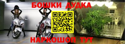 крисы Кумертау