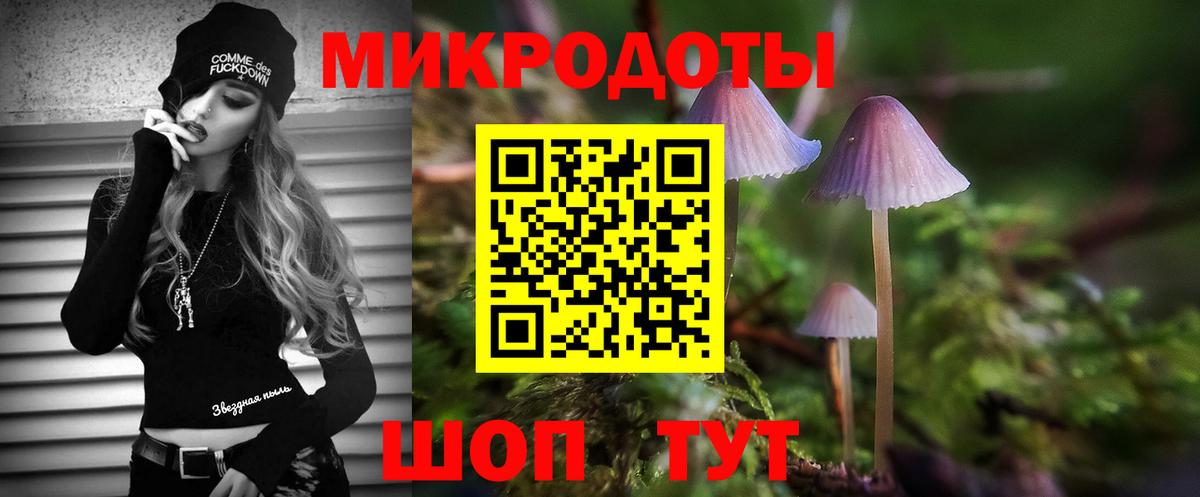 Галлюциногенные грибы Magic Shrooms Мончегорск